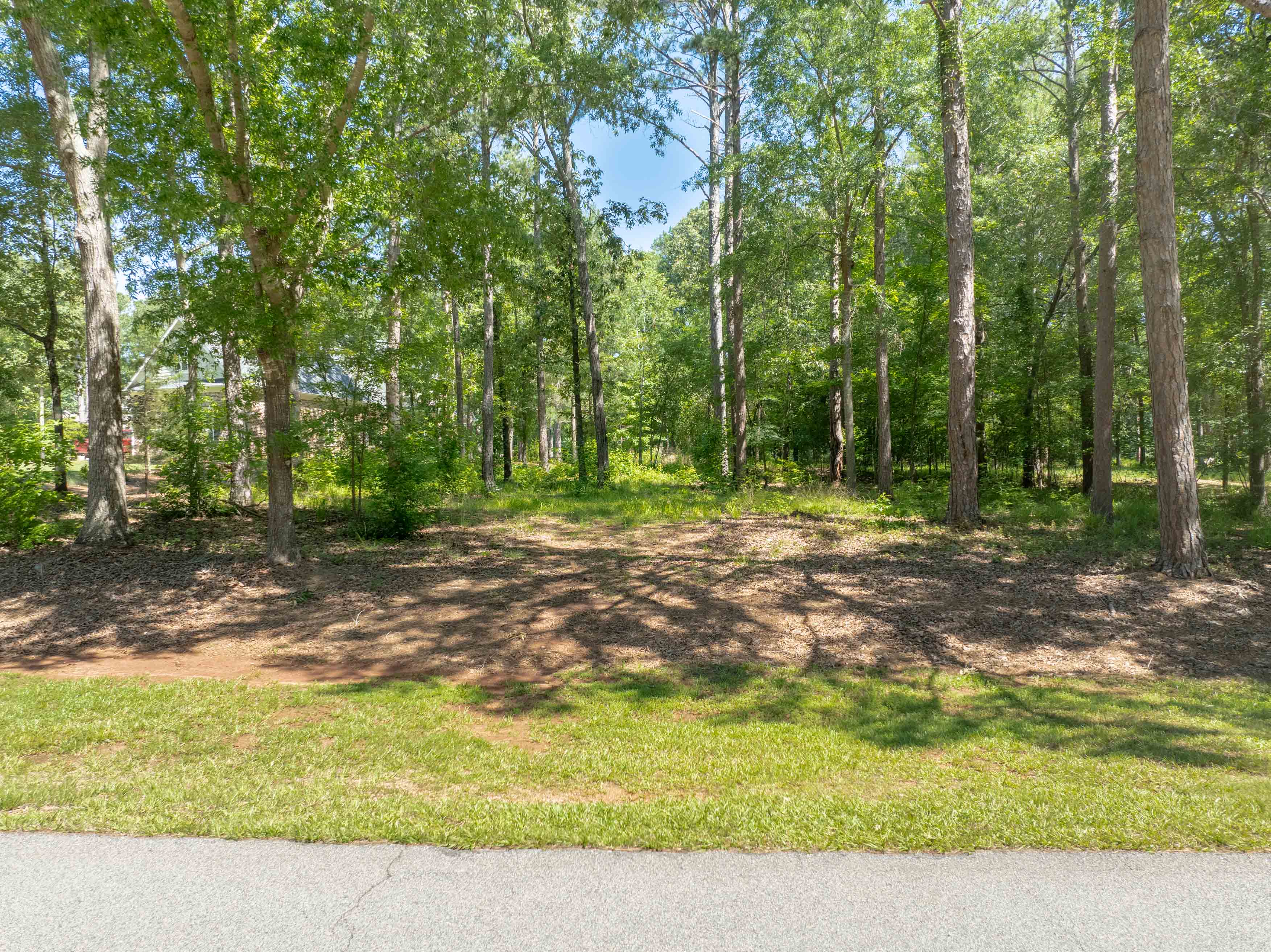 381 Reynolds Drive image 2